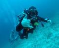 scuba diving certification nj